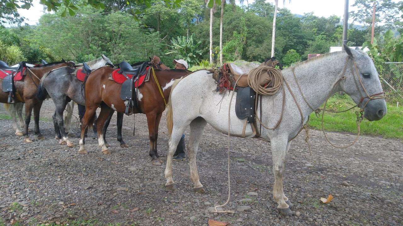 Santa Maria Hotel & Restaurant Hacienda Santa Maria Экстерьер фото